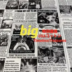 32 big 特別価格　USAコットン生地　タイムレストレジャー猫　オマケ付