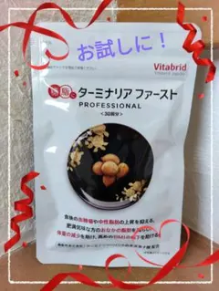 2025年最新】ターミナリアファーストの人気アイテム - メルカリ