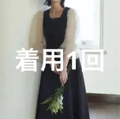 RUIRUE オーガンジースリーブ フレアワンピースドレス