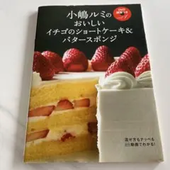 2026年最新】小嶋ルミのdvd講習つき vol.1 (おいしいイチゴのショート