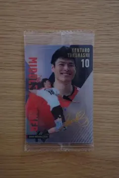 バレーボール男子日本代表ツインウエハースウエハース2025髙橋健太郎選手 レア