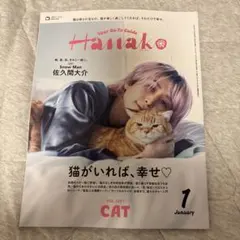 HanaKo 1251号 猫特集　ハナコ