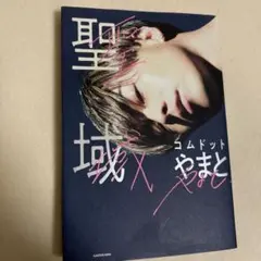 聖域X コムドットやまと