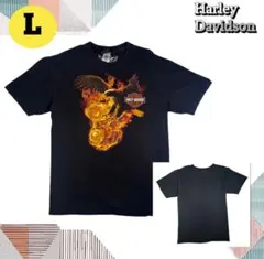 ヴィンテージ ハーレーダビッドソン イーグル vsドラゴン Tシャツ 3XL 