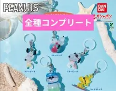 PEANUTS めじるしアクセサリー SUMMER コンプリート