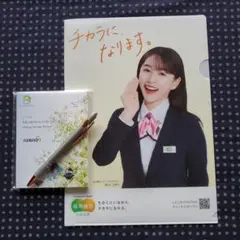 桜井日奈子 クリアファイル