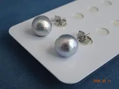 特価品！！！あこや真珠ナチュラルグレー8.8㎜　SV925ピアス