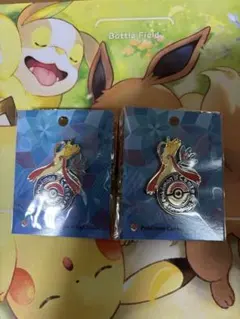 ポケモンセンター　カナザワ　ロゴピンズ　限定品