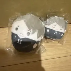 ハイキュー くじメイト ぬいくじ D賞 E賞 ふわコロりん てのりんず 宮治