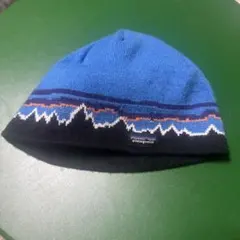 Patagonia ニット帽 　ビーニー　ONE SIZE