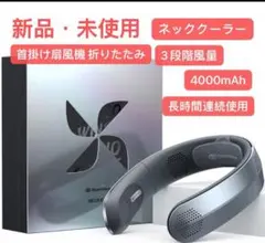 Item thumbnail for item 775f0ed4-4bf4-4c2a-a854-646d02dcd546