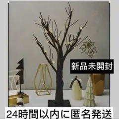 Item thumbnail for item b7d53fd2-3d6f-45ac-8369-ec634cc505f6