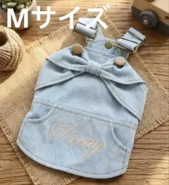 水色デニム風犬服のサムネイル