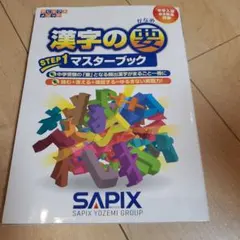 2026年最新】main sapixの人気アイテム - メルカリ