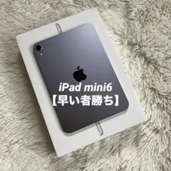 Apple iPad mini 6 最大バッテリー容量90% - メルカリ