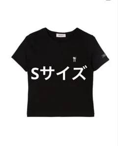 HLT x Hello Kitty Embroidered Tee - メルカリ