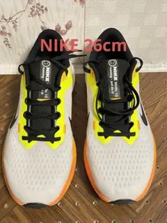 ナイキ Nike WINFLO 10 ウィンフロー10 スニーカー メンズ