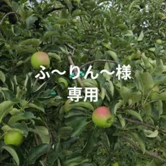 ふ～りん～様 専用 りんご 果物のサムネイル