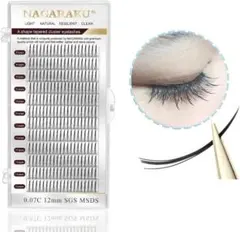 Item thumbnail for item b995ee4b-e361-41f6-9785-39e6e3ac55b3