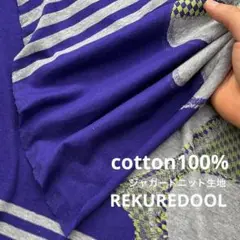 dy401-6◆1m◆L◆訳あり◆綿100%ジャガードニット生地◆柄物