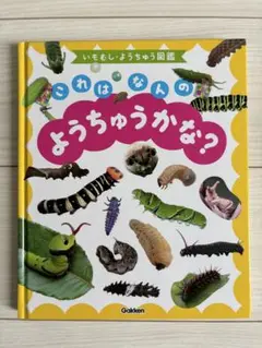 いもむし•ようちゅう図鑑　これはなんのようちゅうかな？ Gakken