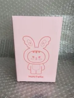 スングァン プギュリ SEVENTEEN ルームランプ ミニティーン - メルカリ