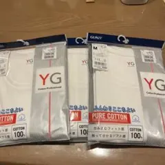 YG コットンプロフェッショナル Tシャツ Mサイズ 3枚セット