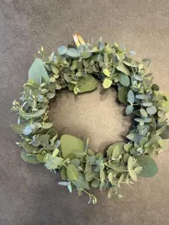 ユーカリ インテリア