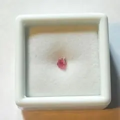 Kazusa Kawai様専用