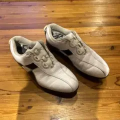 Item thumbnail for item 3d53896b-16da-4634-ab1c-a4b726f22c32