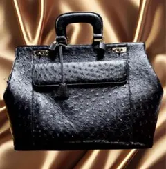 極美品✨ロダニア RODANIA オーストリッチ ダレスバック