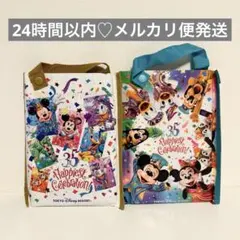ディズニー 35周年 実写 レジャーシート