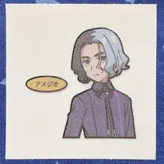 2026年最新】アメジオ ブロマイドの人気アイテム - メルカリ