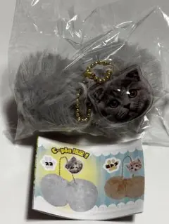 にゃんたますこっと シープラ限定 スコティッシュ 持ち主の顔チャーム付き ②