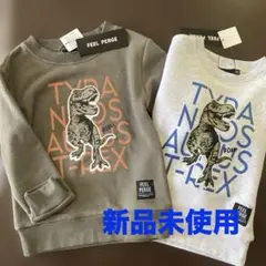 【新品タグ付】恐竜 トレーナー110 120 2枚セット ダイナソー T-REX