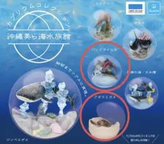 2026年最新】カプリウムの人気アイテム - メルカリ
