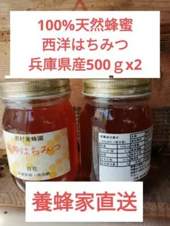 国産 はちみつ❁北海道 菩提樹❁ 900g 生蜂蜜/国産蜂蜜 - メルカリ