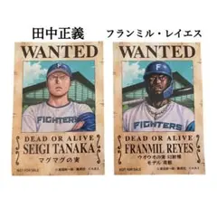 日ハム 田中正義&フランミル・レイエス 記念グッズ