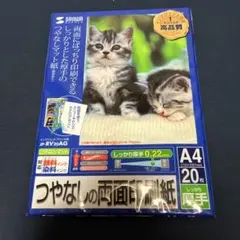 SANWA SUPPLY JP-RV20AG