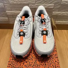Nike Pegasus EasyOn Electric 25.0cm
