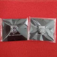 Item thumbnail for item 6380730c-995c-409c-ba55-fd7c9fa9d105