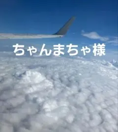 ちゃんまちゃ様