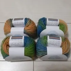 Aurora Wool マルチカラー毛糸 　No.４　４玉