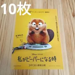 映画　私がビーバーになる時　フライヤー　チラシ