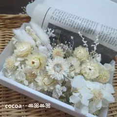 iwe様 リクエスト 2点 まとめ商品