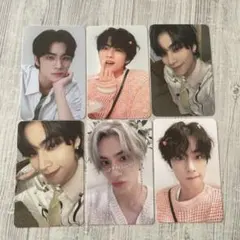 WayV シャオジュン　トレカ　セット　シーグリ　nct