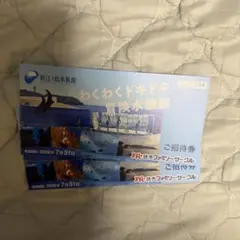 에노시마 수족관 초대권 2장 세트