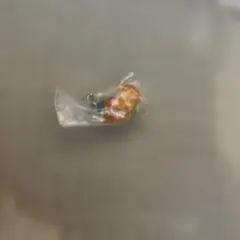 ざわざわ森のがんこちゃん めじるしアクセサリー チョビ