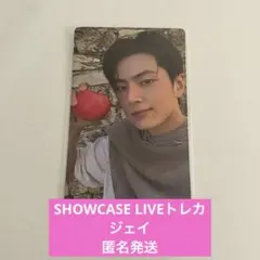 ENHYPEN SIN VANISH ジェイ　SHOWCASE ショーケース