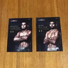 RIZIN 選手カード サトシ　シェイドゥラエフ